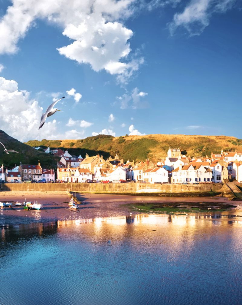 Connect with Nature in the North York Moors