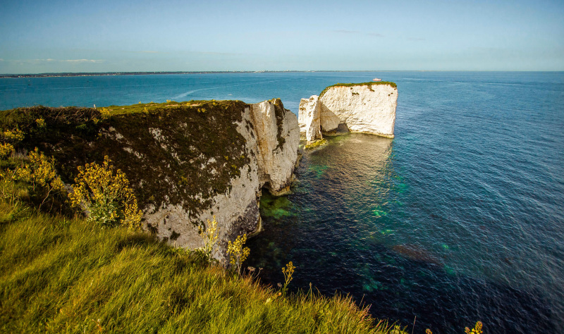 Fossil hunt and feast in Dorset 