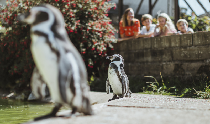 Top family friendly days out whatever the weather on the beach 