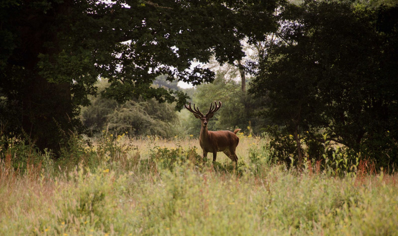 Staycation ideas: The West Sussex Coast