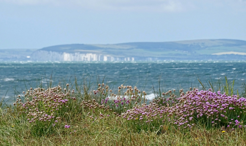 Culture, nature and mindful escapes await on the south coast 