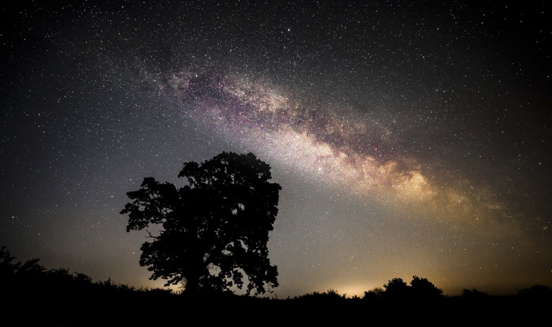 Connect with Nature in the North York Moors