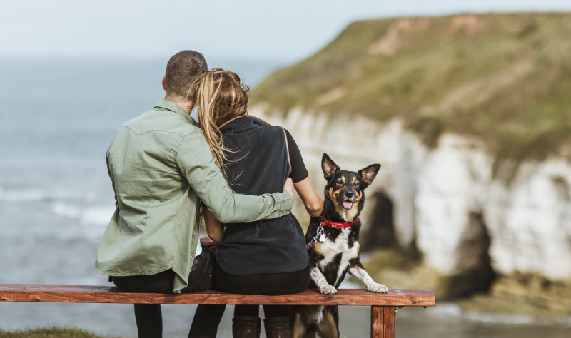 A coast for all …  paws on the prom! 