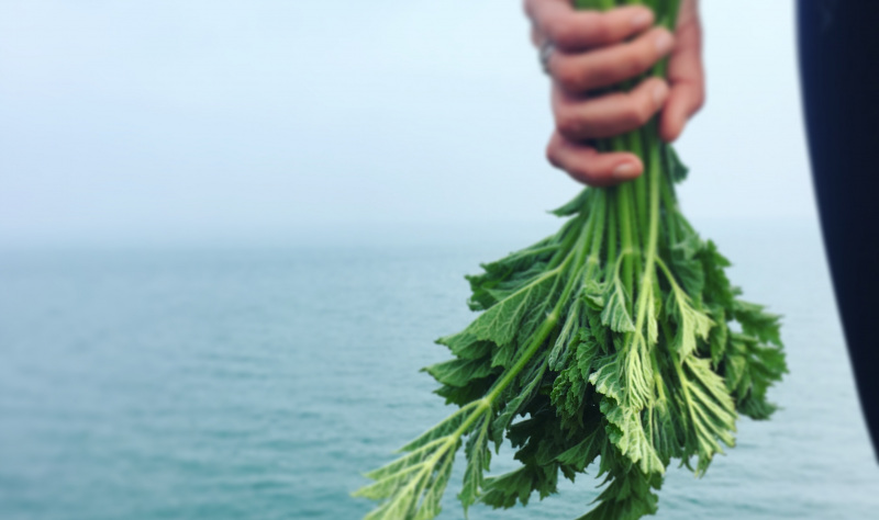Plan a peaceful eco staycation in West Sussex and the Isle of Wight